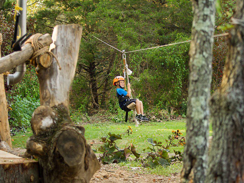 A person is riding on a zip line through the woods.