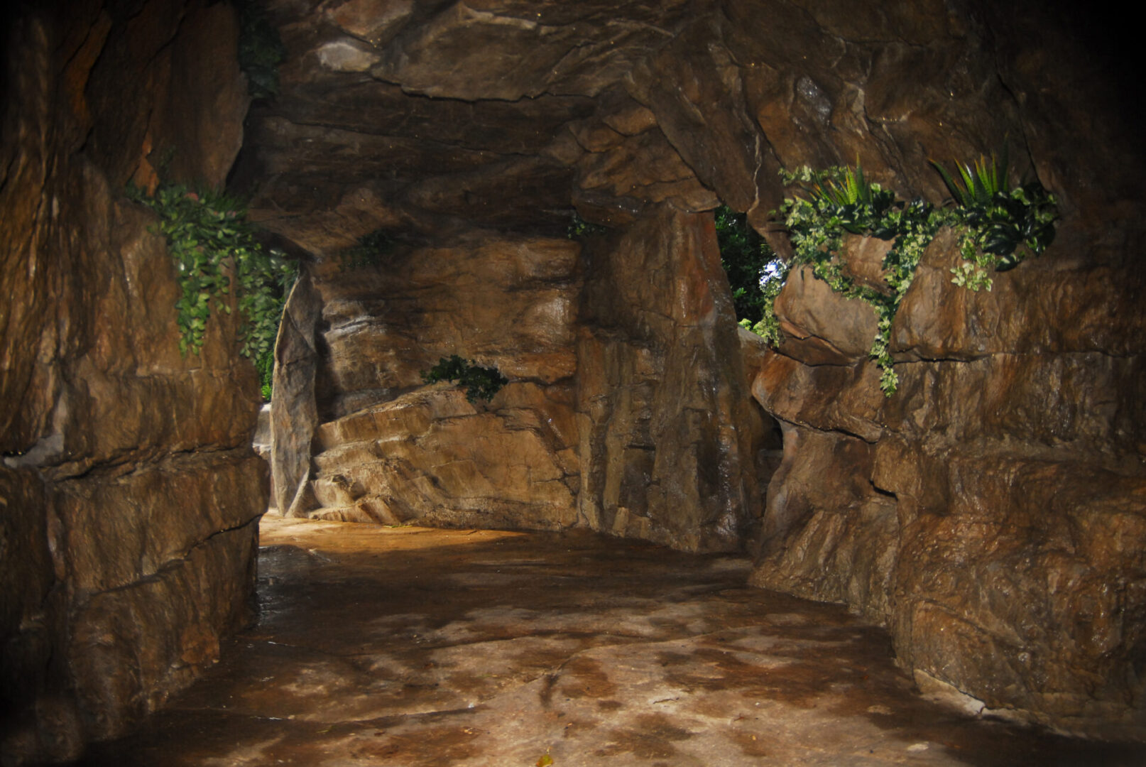 A cave with plants growing on the walls.